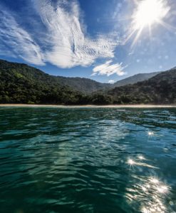 Surf Package - Groups - Level 1&2 - 7Day Pack
