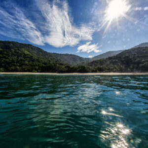 Surf Package - Groups - Level 1&2 - 7Day Pack