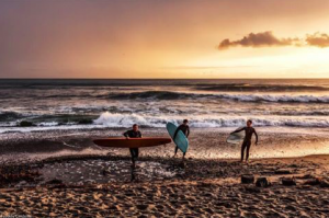 Freddy group-male surf