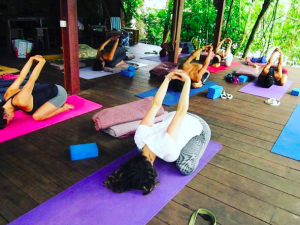 4.Yoga- Amazon retreat
