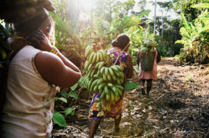 4.Community walking bananas